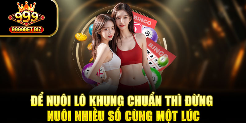 Để nuôi lô khung chuẩn thì đừng nuôi nhiều số cùng một lúc